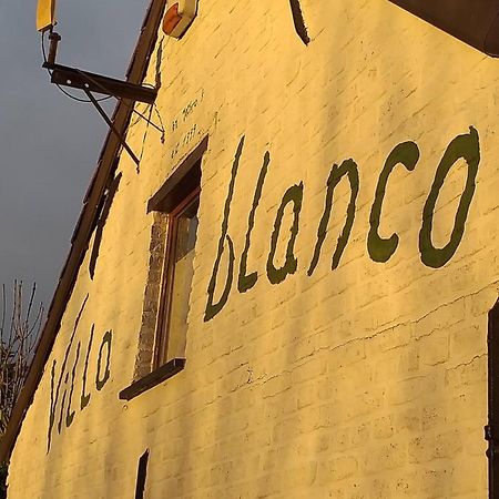 Villa Blanco Opwijk ภายนอก รูปภาพ