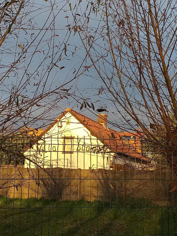 Villa Blanco Opwijk ภายนอก รูปภาพ
